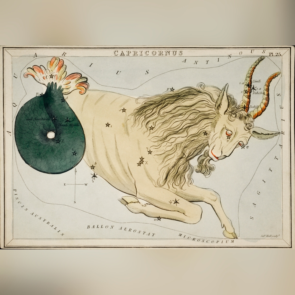 Vintage Capricorn Zodiac Art Print